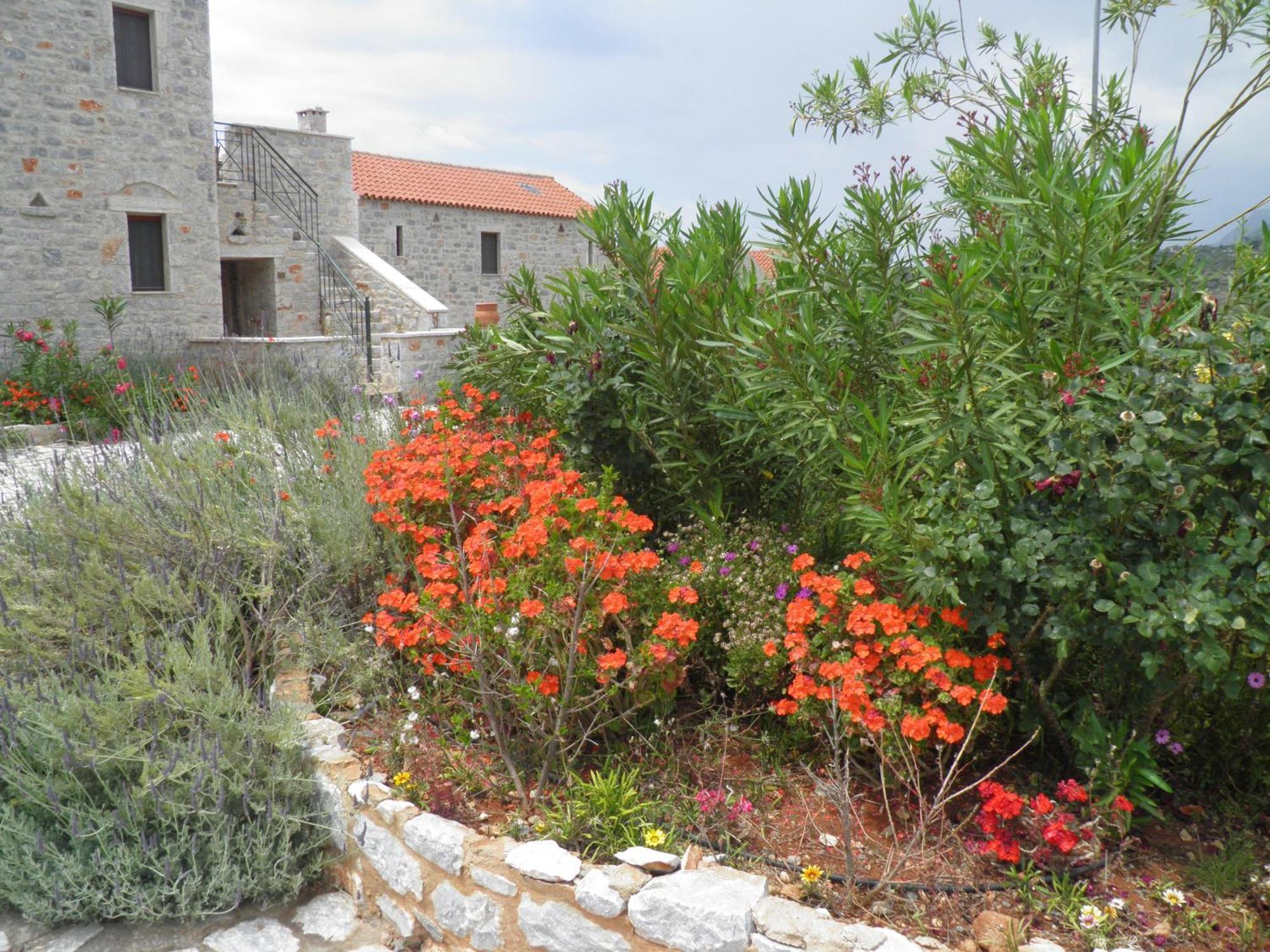 Althea Village Areopoli Exteriör bild